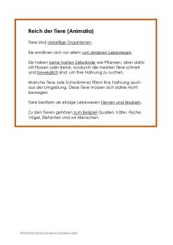 5 Reiche Textkarten